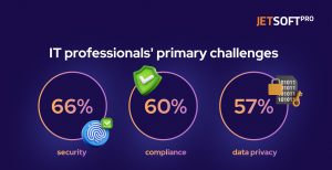 IT professionals' primary challenges